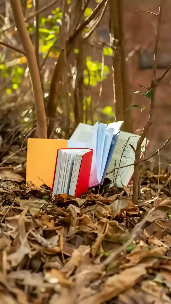 Racket printing fake NCERT textbooks busted, 3 held: Delhi Police