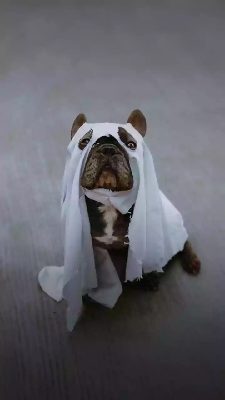 Fantasias fáceis de Halloween inspiradas em filmes icônicos do cinema