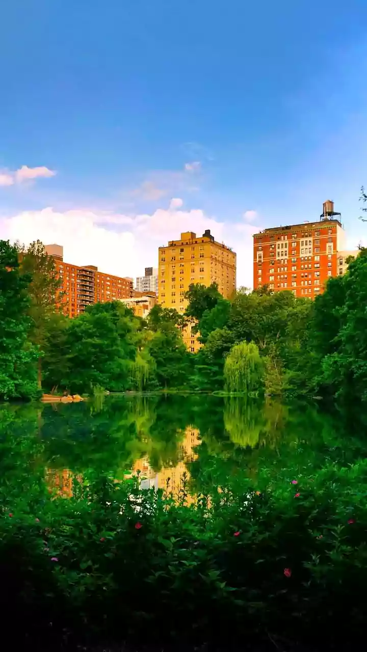 Central Park Adventure: Your NYC Guide