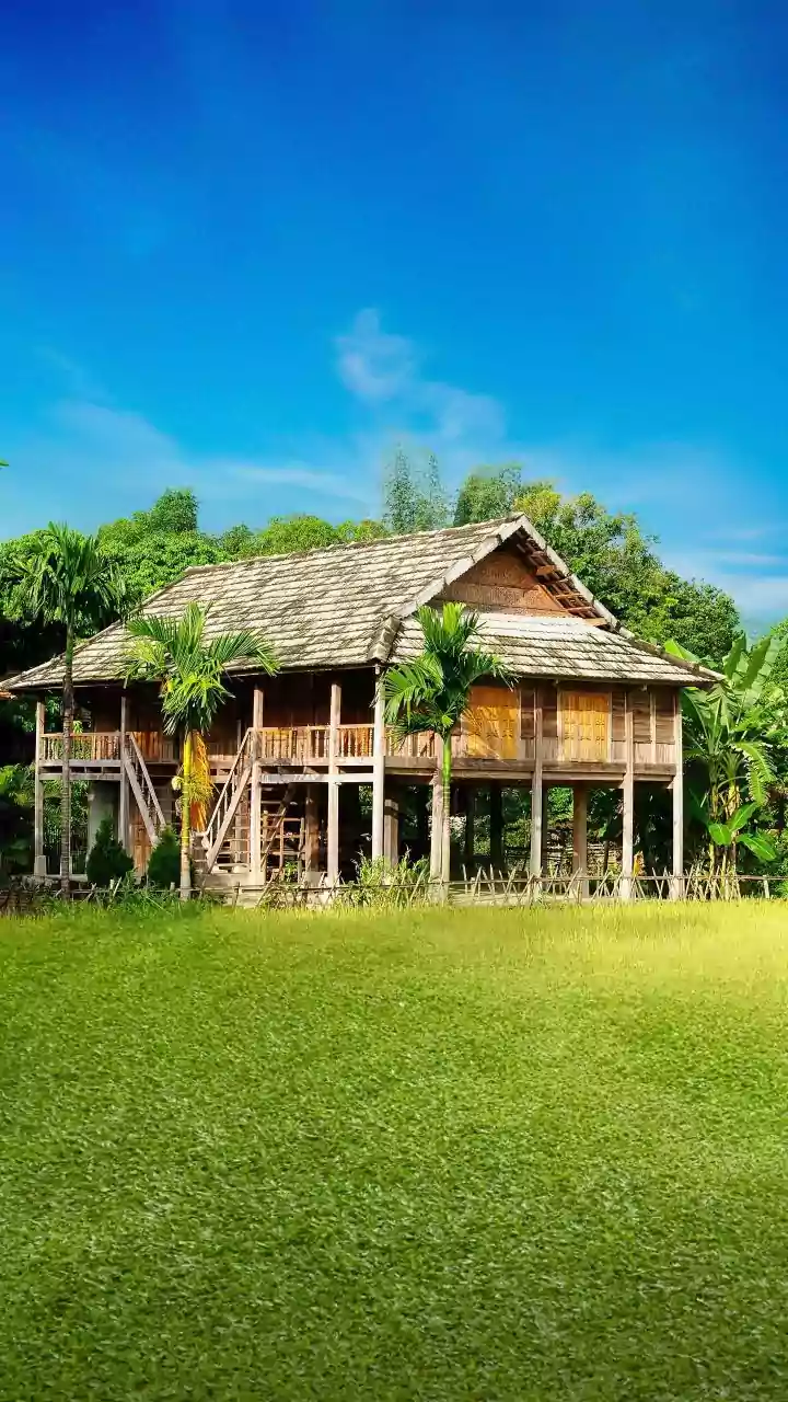 Viral Coconut Trick: Your Natural Defense Against Snakes This Season!