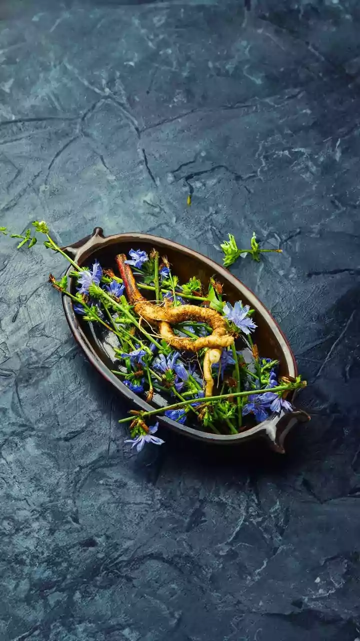 Forest Ingredients Add Local Flavour Without Turning Foraging Into Hype, But Are Moving Into Modern Restaurant Menus