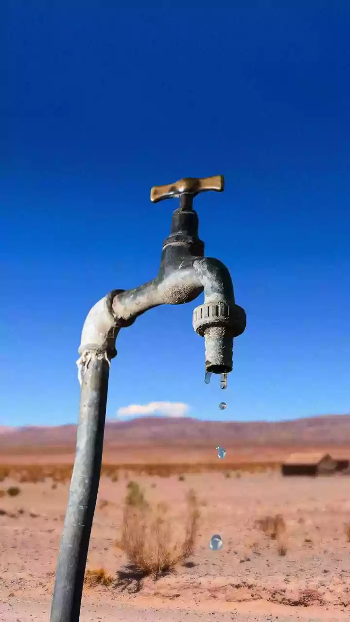 Rainwater Harvesting: A Simple Solution to Water Scarcity