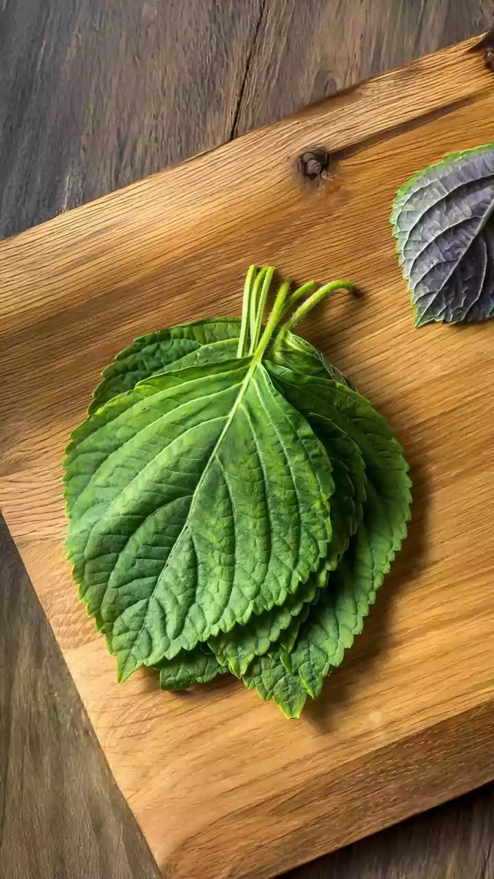 Unlock Culinary Magic: 5 Creative Ways to Elevate Your Dishes with Shiso Leaves
