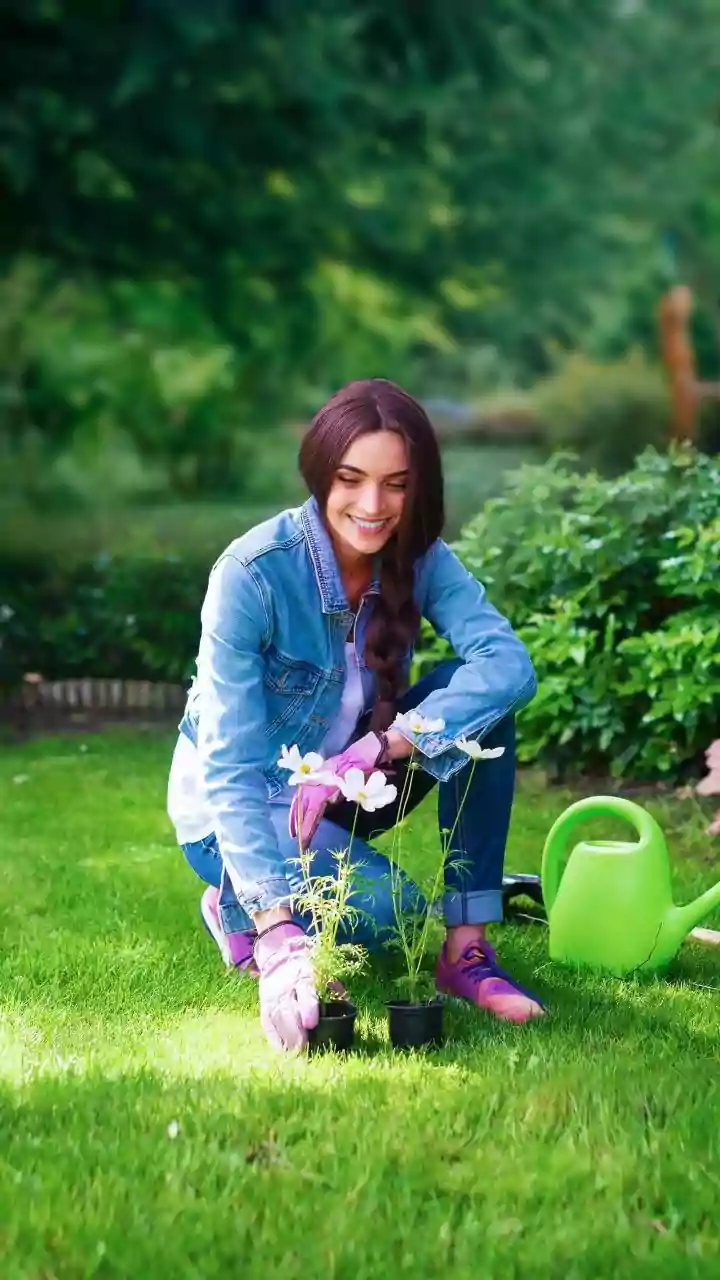 Transform Your Garden: Natural Pest Control with Diatomaceous Earth