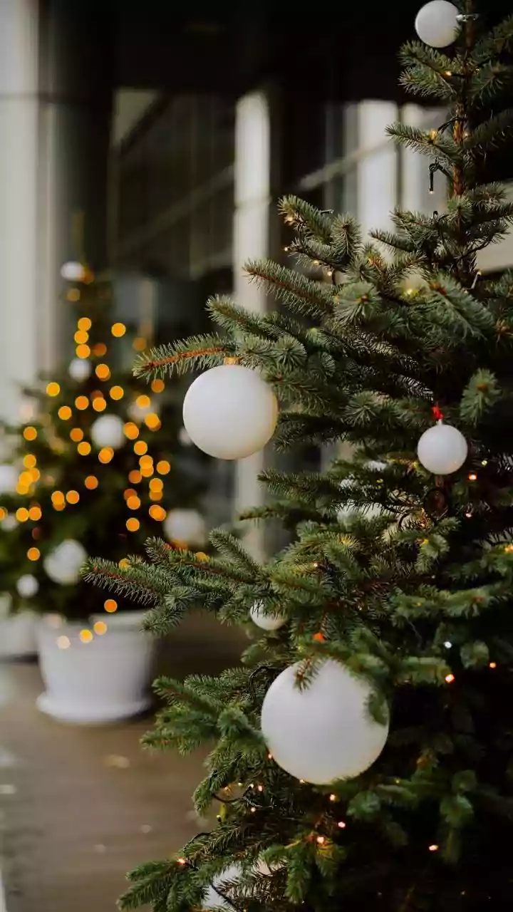 Replacing Disposable Plastic Products With LED Copper Strings Elevates Sustainable Festive Decor