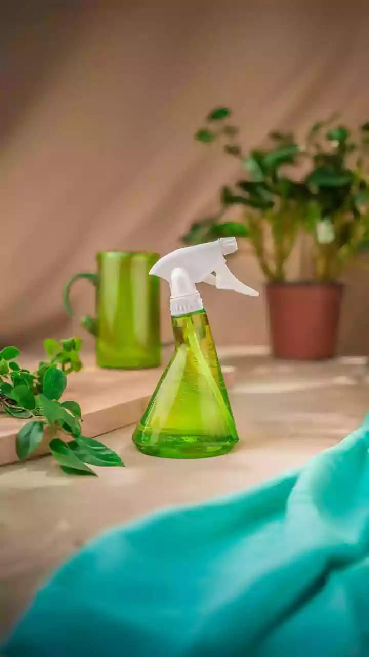 Indoor Plant Pruning: Mistakes to Avoid!