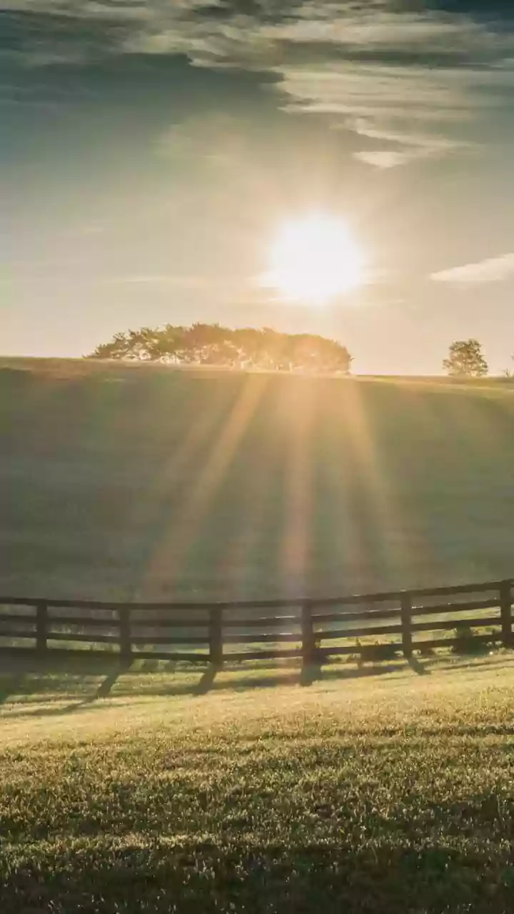 How Early Sunlight Exposure Boosts Daytime Energy And Promotes Better Sleep At Night
