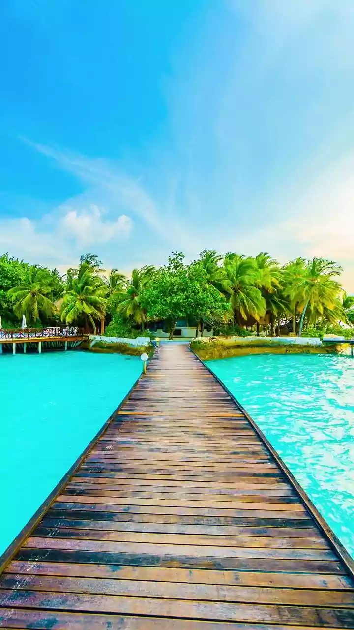 Ex-Maldives V-P urges world leaders to prioritise peace amid Bangladesh crisis