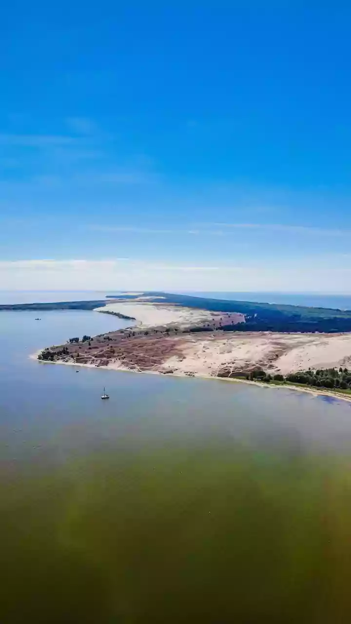 Satellite Imaging Maps Rapid Coastal Defense Benefits From Sundarbans Mangrove Restoration