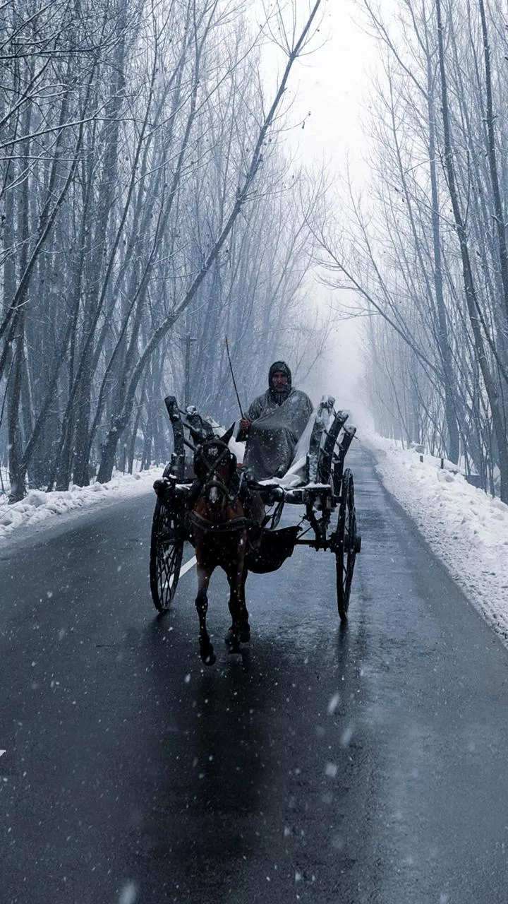 Fresh spell of rain, snow likely in Kashmir; night temperatures stay above normal
