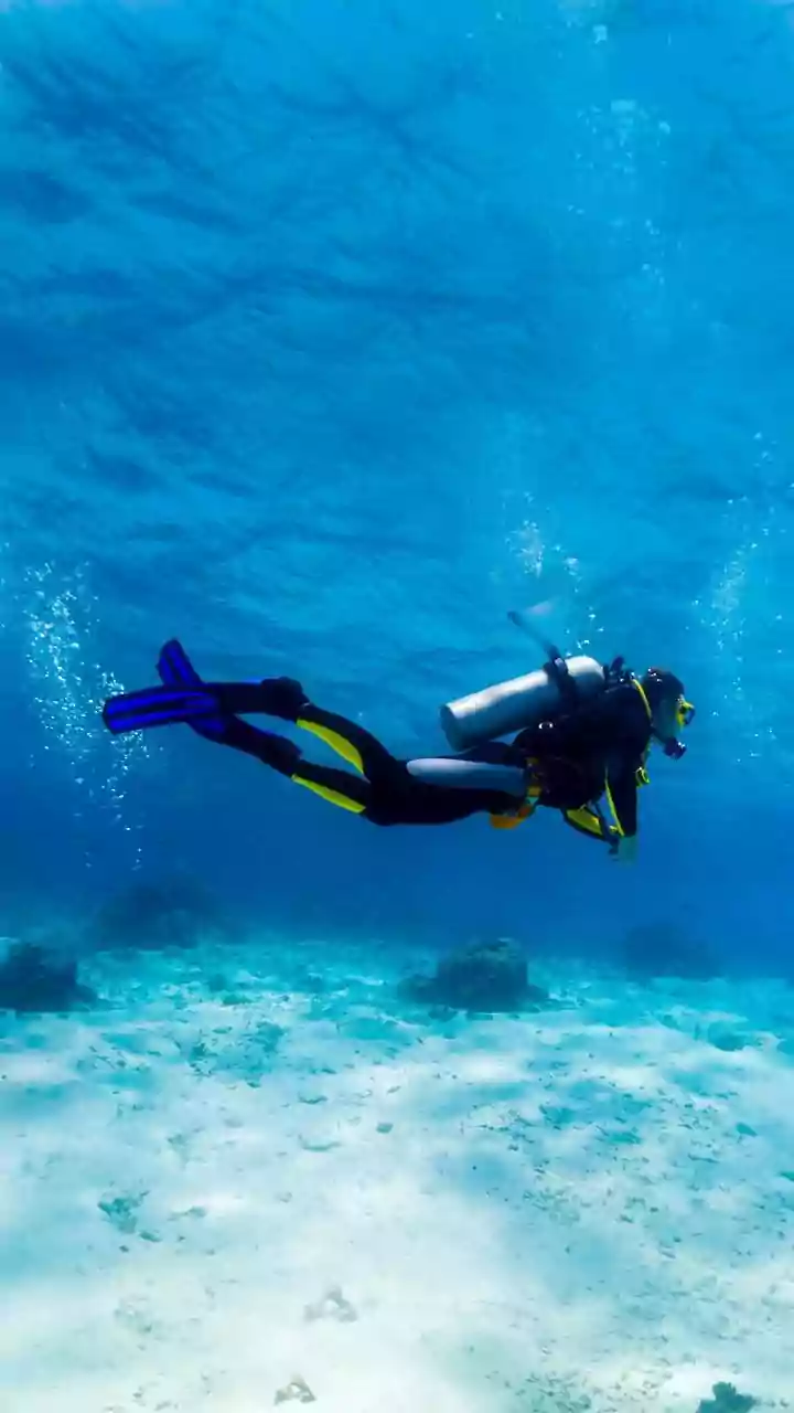 The Ultimate Lakshadweep Scuba Diving Guide For Beginners Planning An Autumn Island Tour