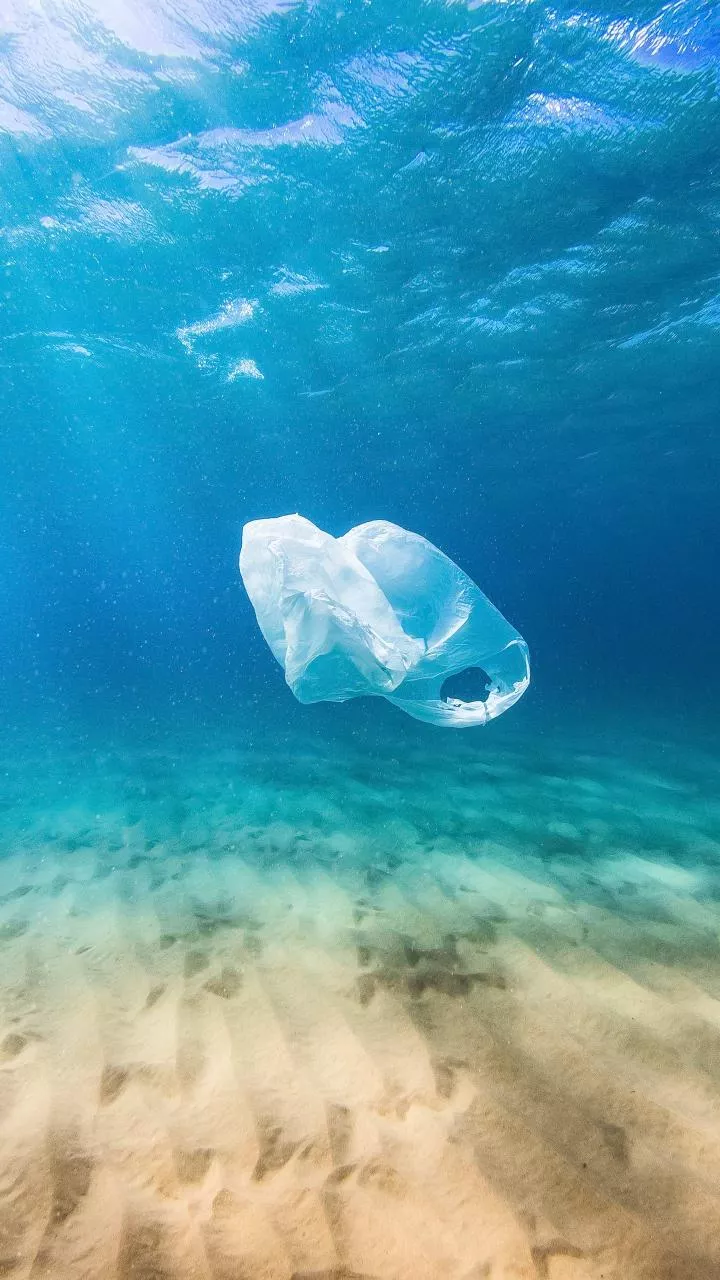 Oceans struggling to absorb CO2 amid microplastic pollution: Study