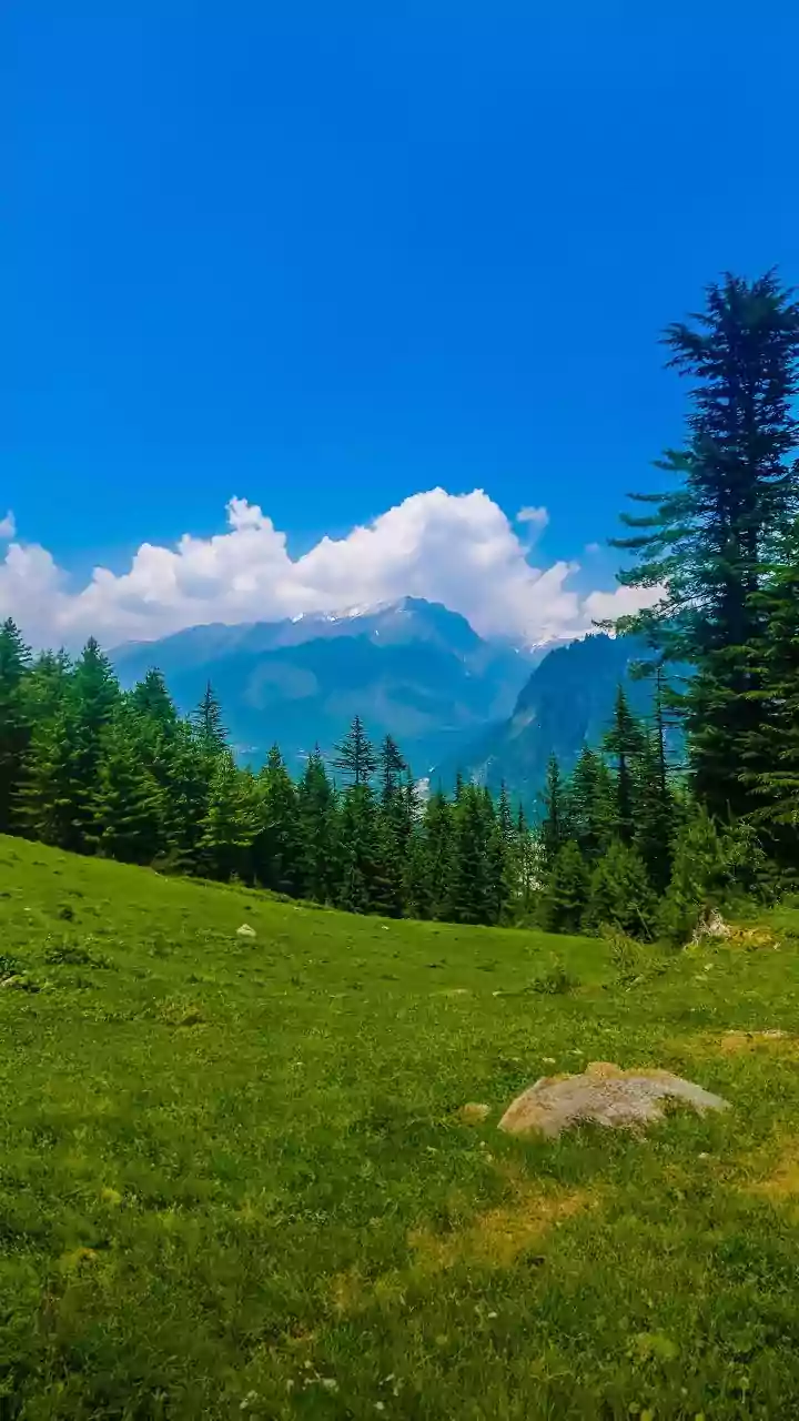 Why Freelancers Prefer Himachal Nomad Hubs For Affordable Living And Mountain Scenic Views
