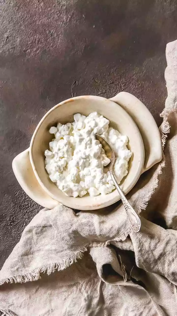 Gut Health: Why Curd Alone Isn’t Enough