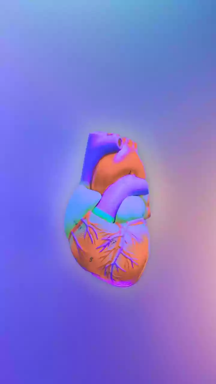 Human hearts can regrow muscle after a heart attack, Aussie study finds