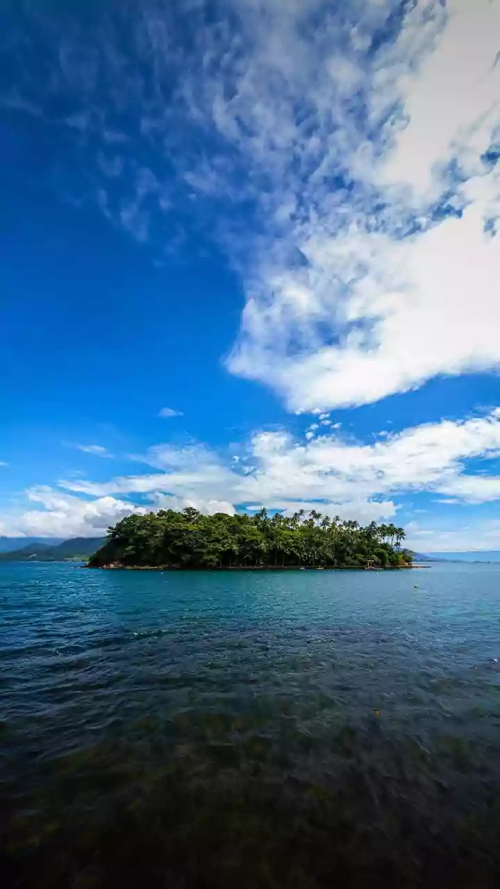 Why Henry's Island Is The Perfect Low-Cost Monsoon Break Near Kolkata