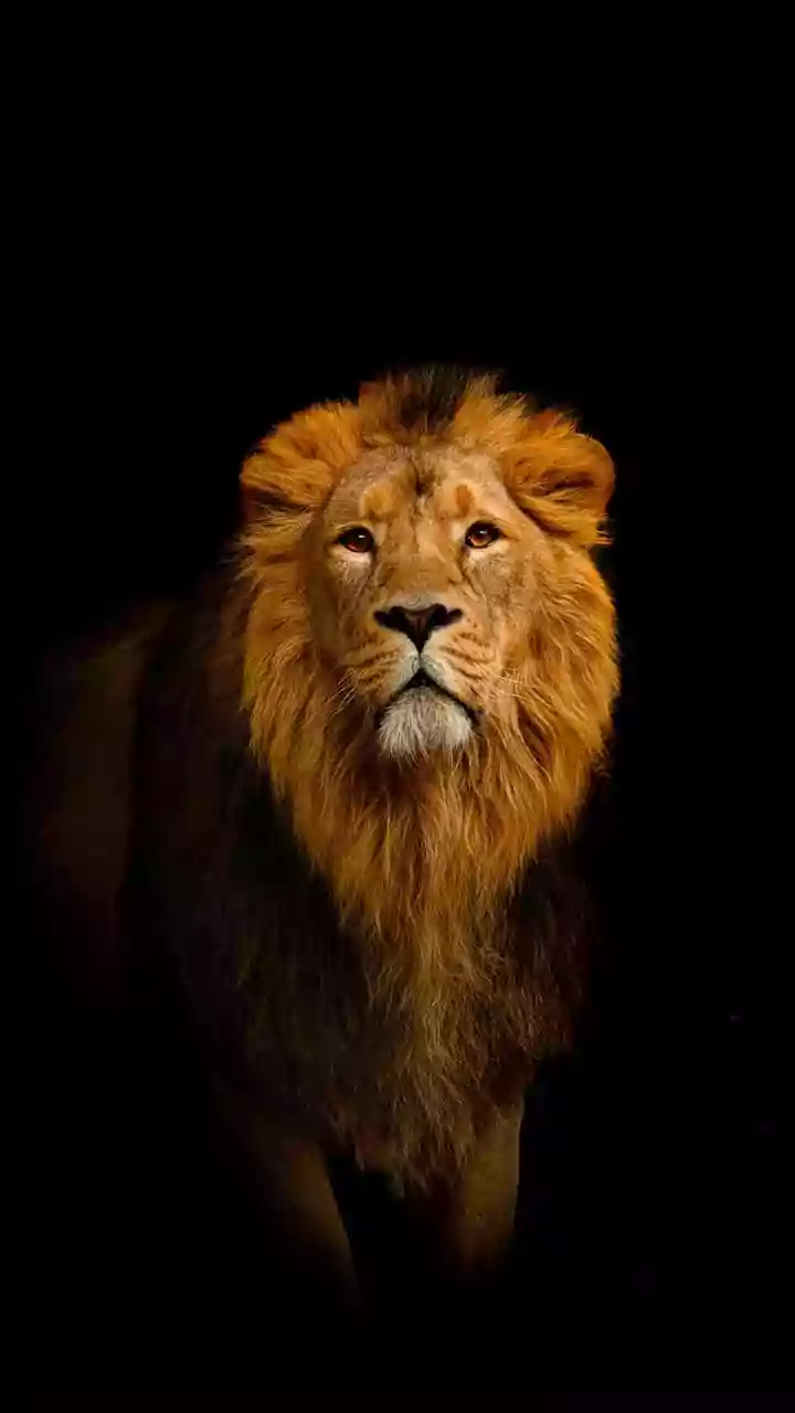 Leo Horoscope Today, April 27, 2026