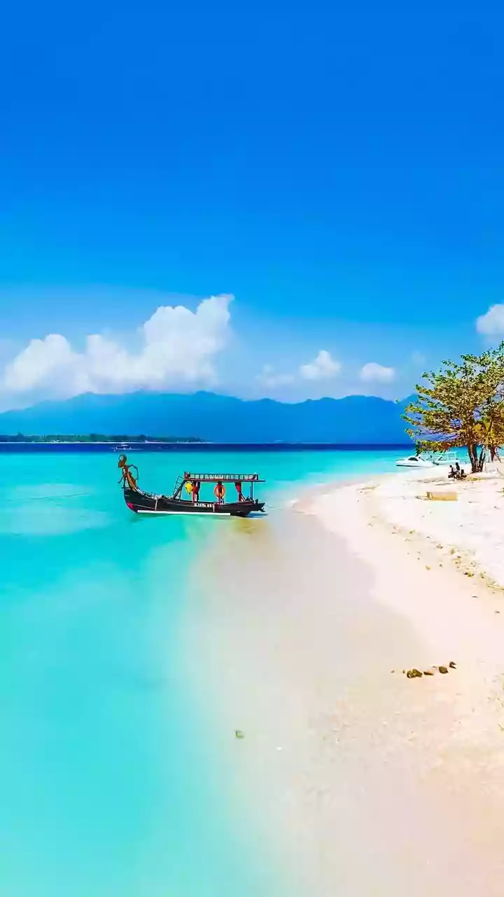 Why Pristine Beaches In The Andamans Stand Out As Prime Spots For Island Getaways