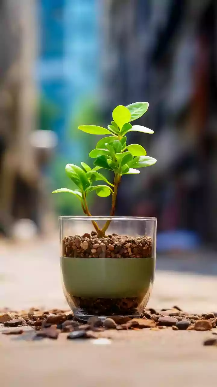 IIT Bombay uses biomass gasification to turn leaves into fuel