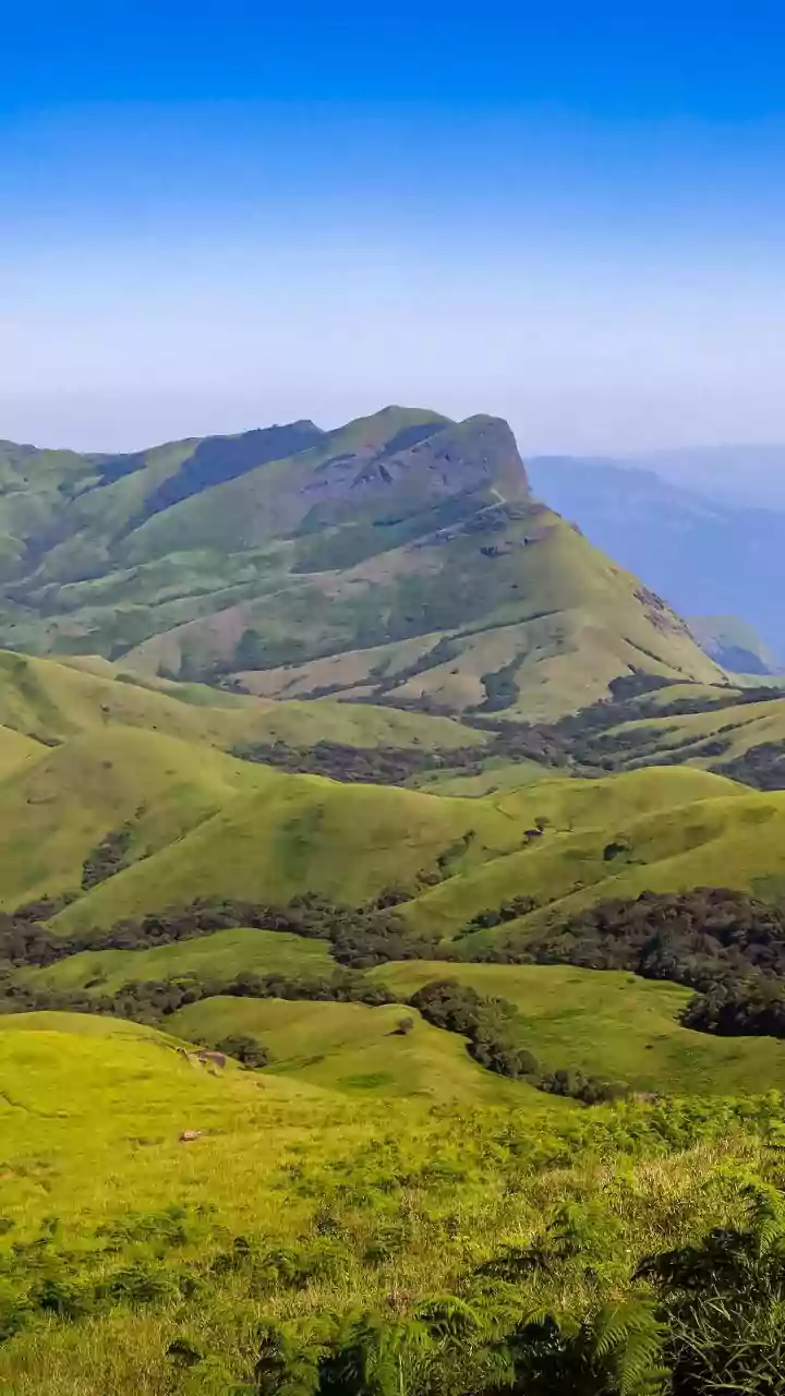 Monsoon In India: Five Places Where Rain Shapes The Landscape