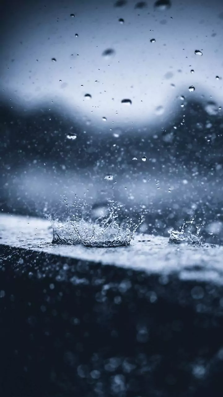 Punjab, Haryana, Chandigarh finally get some rain—and a weather warning