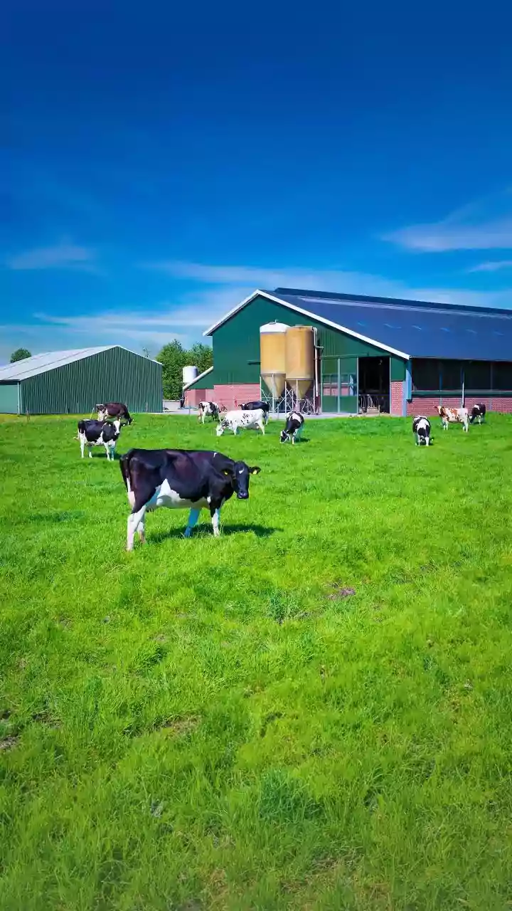 NDDB Chairman Highlights Dairy's Role in Sustainable Agriculture