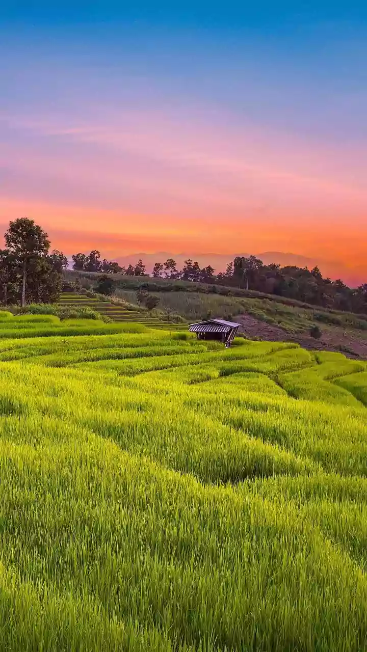 Exploring Thailand Beyond Bangkok: Budget Friendly Homestays In Chiang Mai