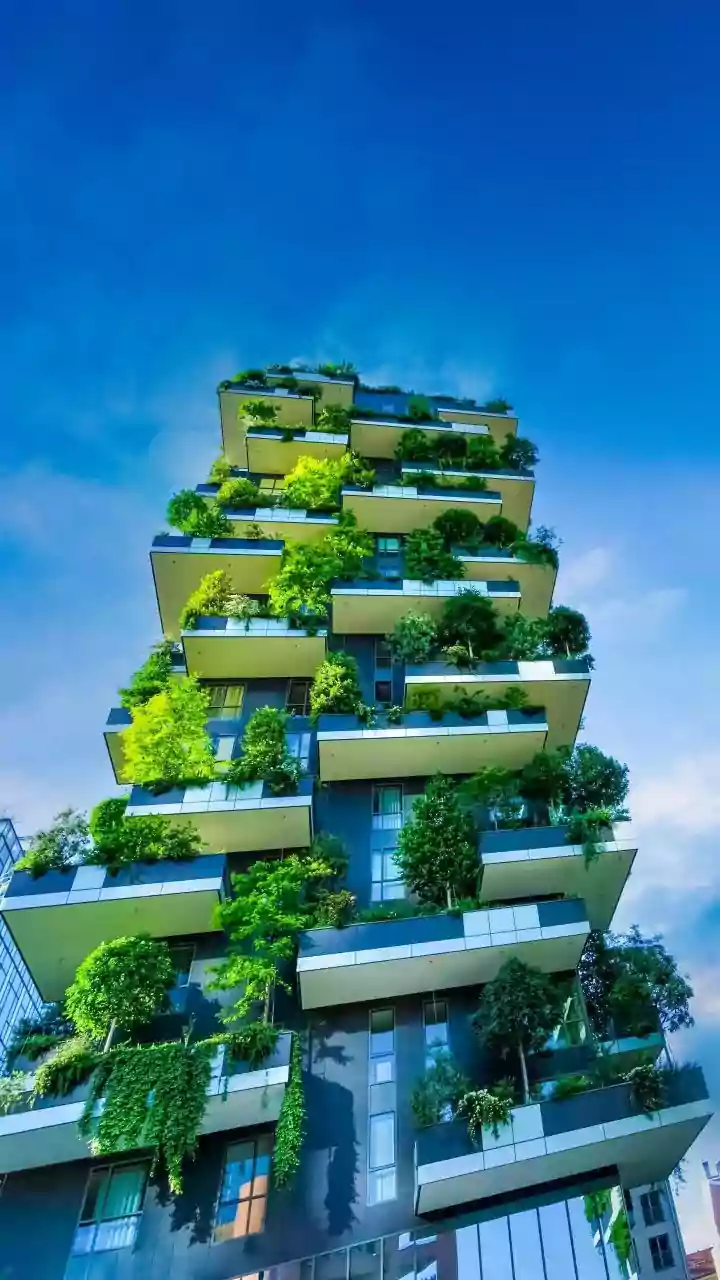 Why Cool-Roof Terrace Paints Help Urban Residents Beat Summer Heat Without Energy