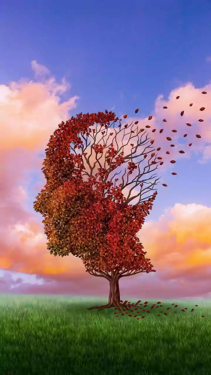 Remedy To Boost Memory