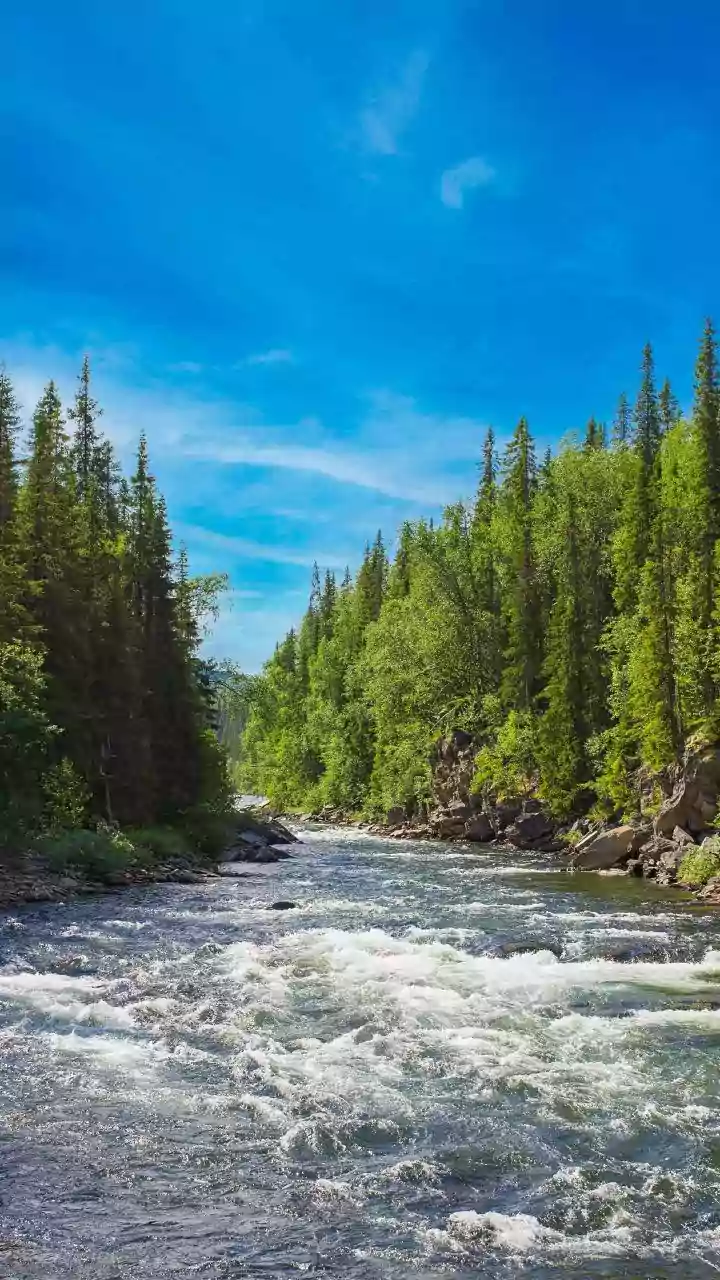 How Eco-Conscious Kayakers Preserve The Natural Beauty Of Meghalaya Rivers By Harvesting Floating Waste