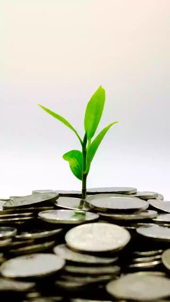 Mandatory CSR spending by Indian companies can lead to low investor confidence: IIM study