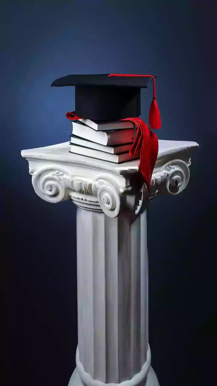A Costlier OPT Programme Could Redirect Skilled Graduates Away From the US