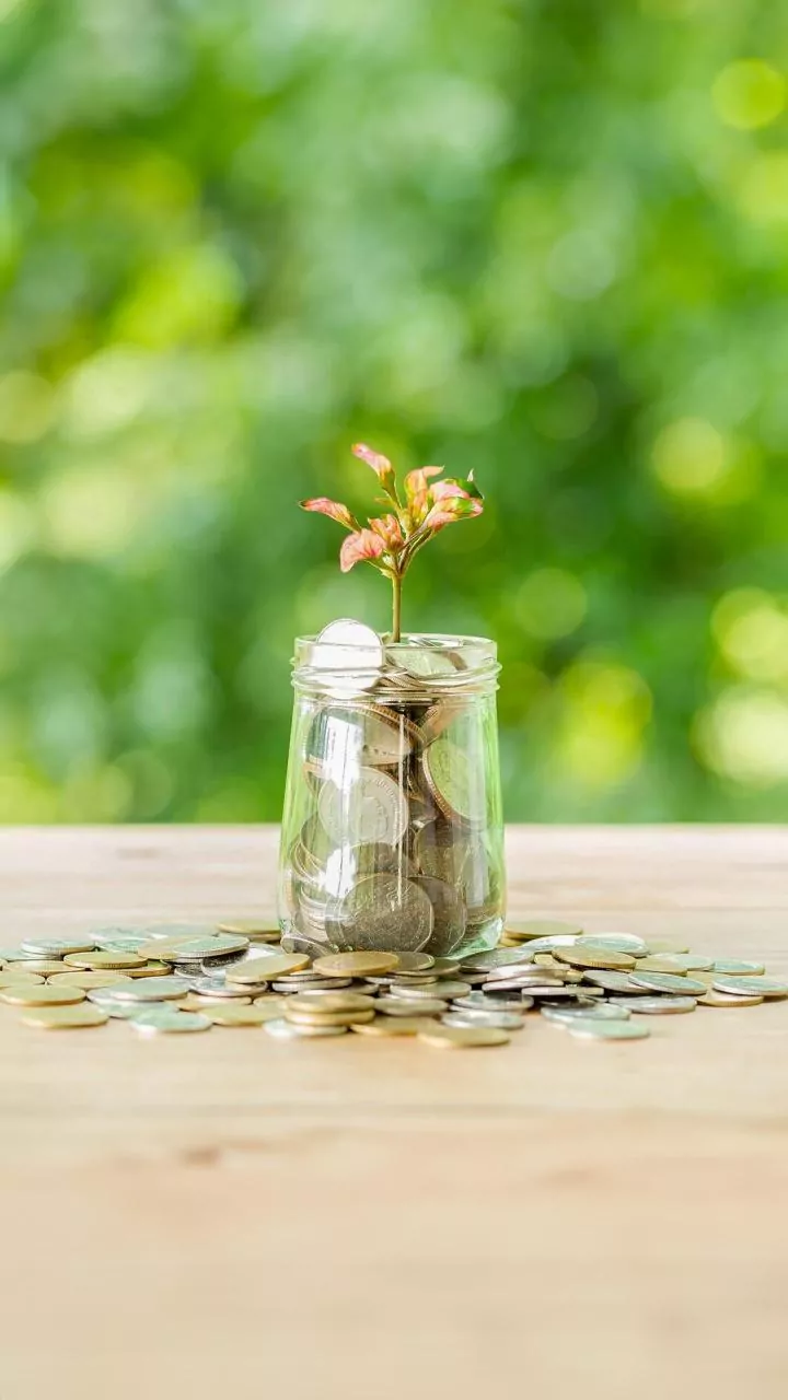 The ₹2,000 Monthly Plan Builds Capital Slowly and Predictably