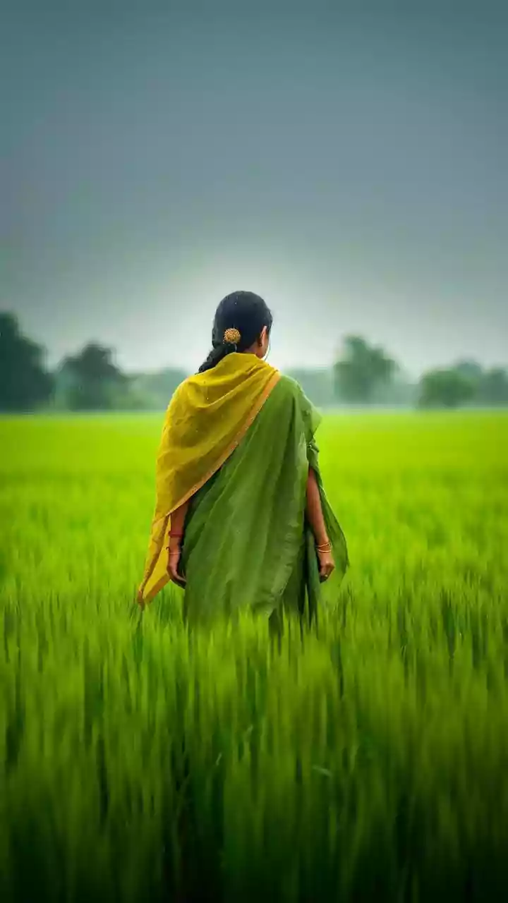 'Freezing Cold': Gurgaon Outskirts Turn Frosty At –1°C; Viral Video Shows Frost On Fields & Fences