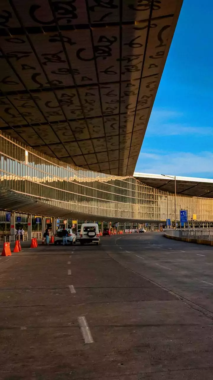 Passenger held with two endangered monkeys at Bengaluru airport
