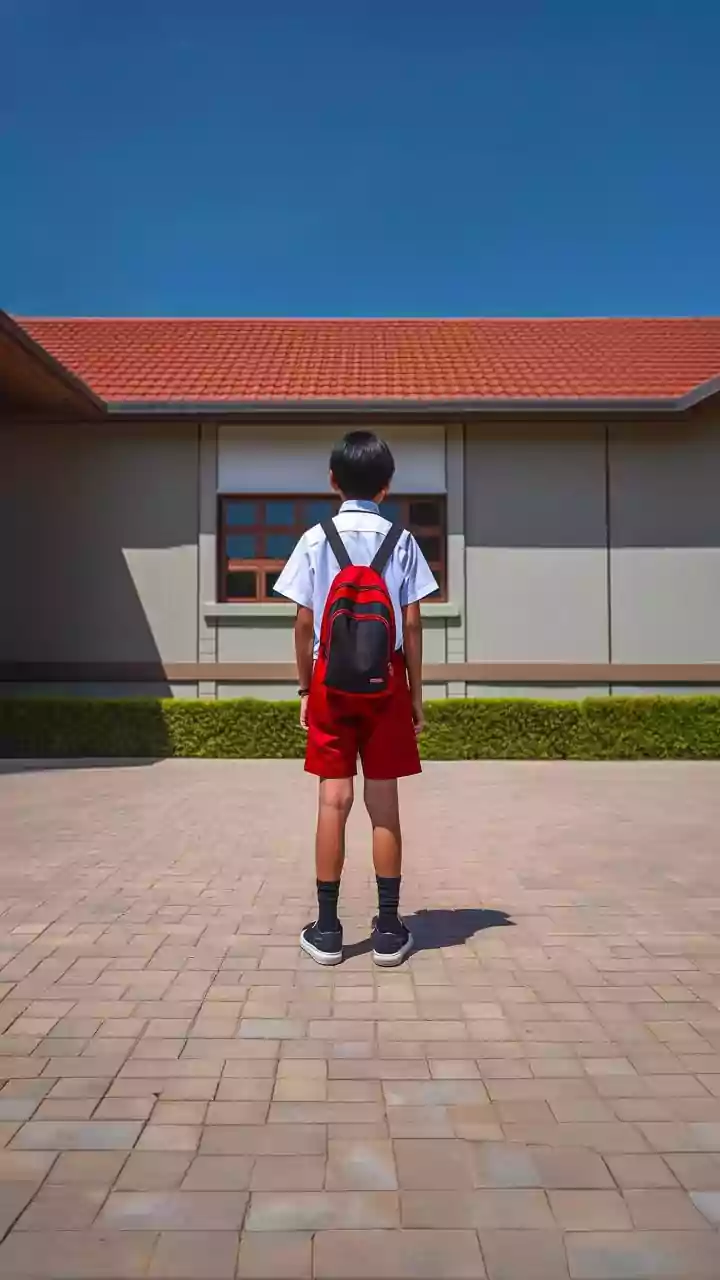 RBSE Class 12th Admit Cards Out: Your Guide