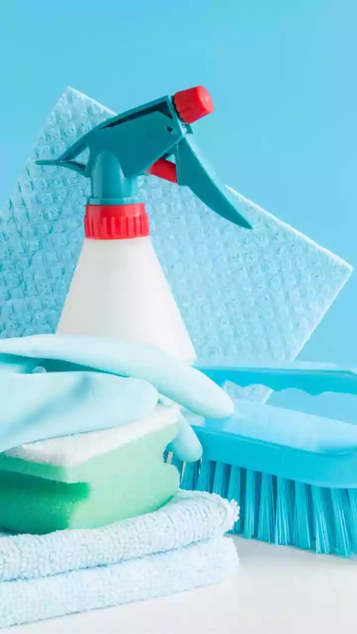 Unmasking the 'Pink Mould': The Truth Behind Those Persistent Bathroom Stains