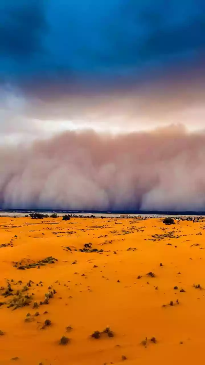 Dust Storm Particulate Matter Linked to Cardiovascular Risks
