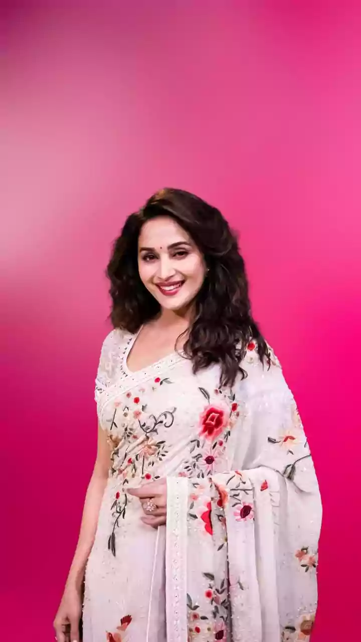 Maa Behen Review: Madhuri Dixit And Triptii Dimri Shoulder This Chaotic Crime Thriller