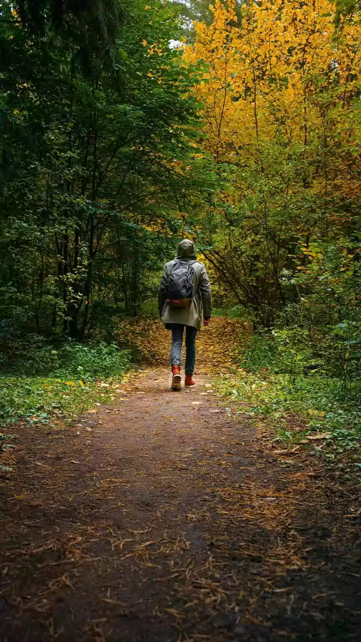 Step Targets Work Better as Guides Than Universal Rules