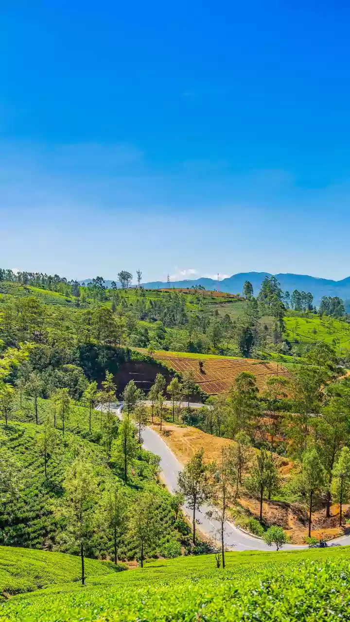 Karnataka: 1 dead, 12 injured in Chikkaballapur bus-truck crash