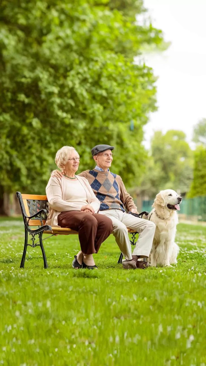 How Apartment Complexes Avoid Noise Complaints By Structuring Dog Park Playtimes