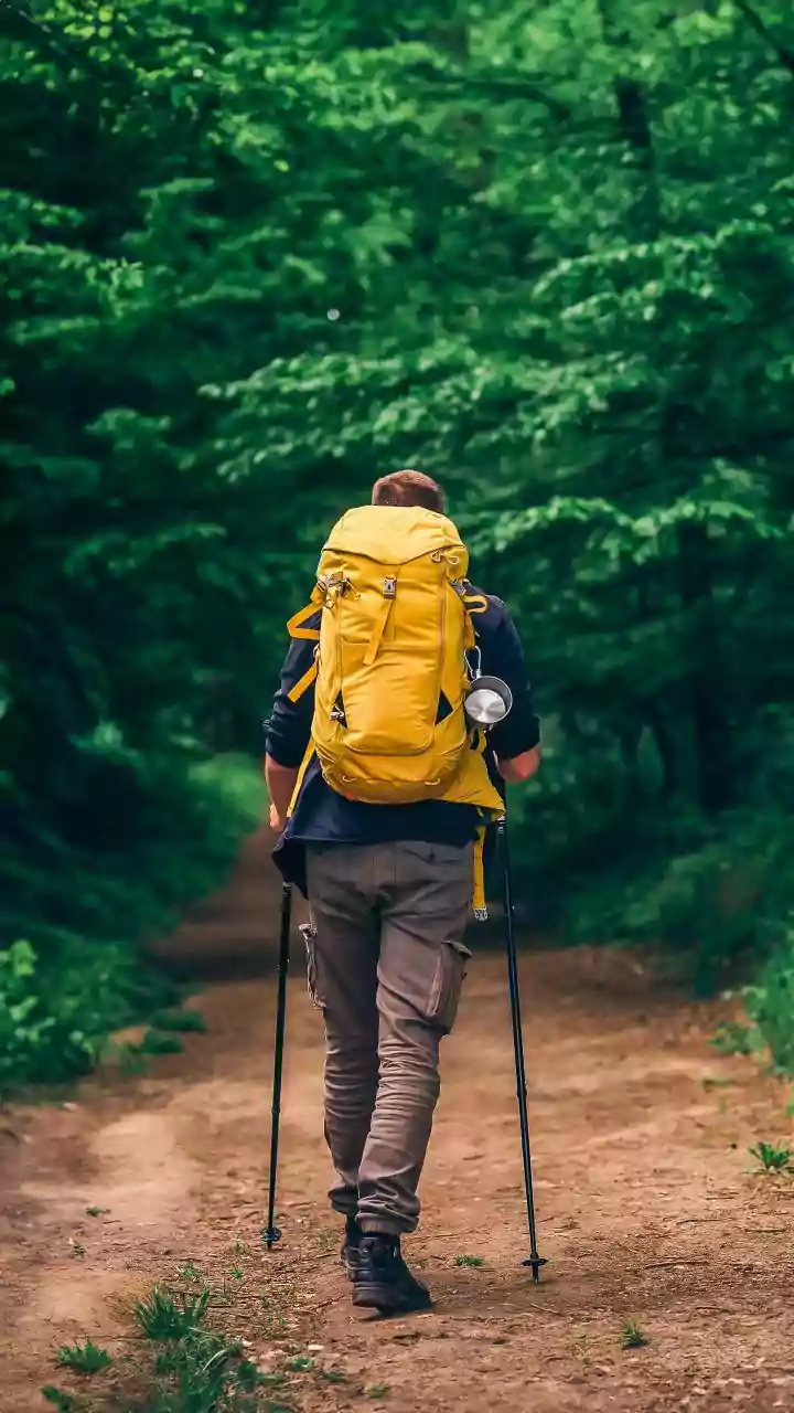 Essential Steps: 8 Walking Essentials for Optimal Health