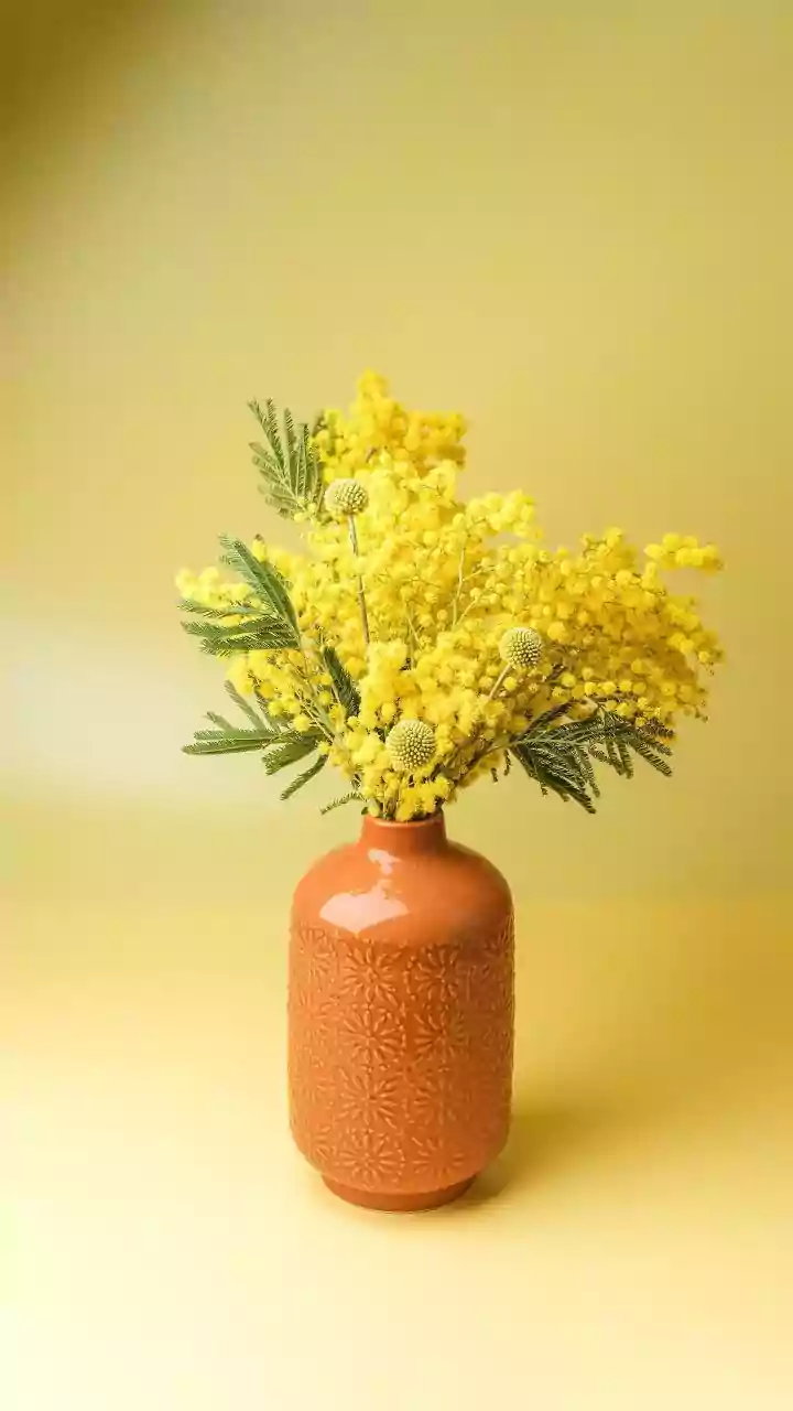 Modern Clay Decor Trends How Gen Z Decorators Swap Plastic For Clay Items