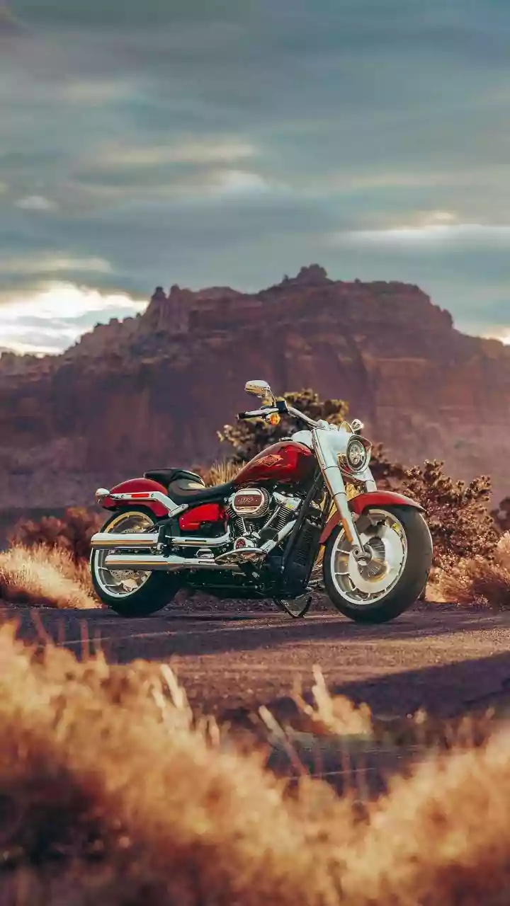 How South Africa's Safaris and Harley Rides Encourage Slow Travel