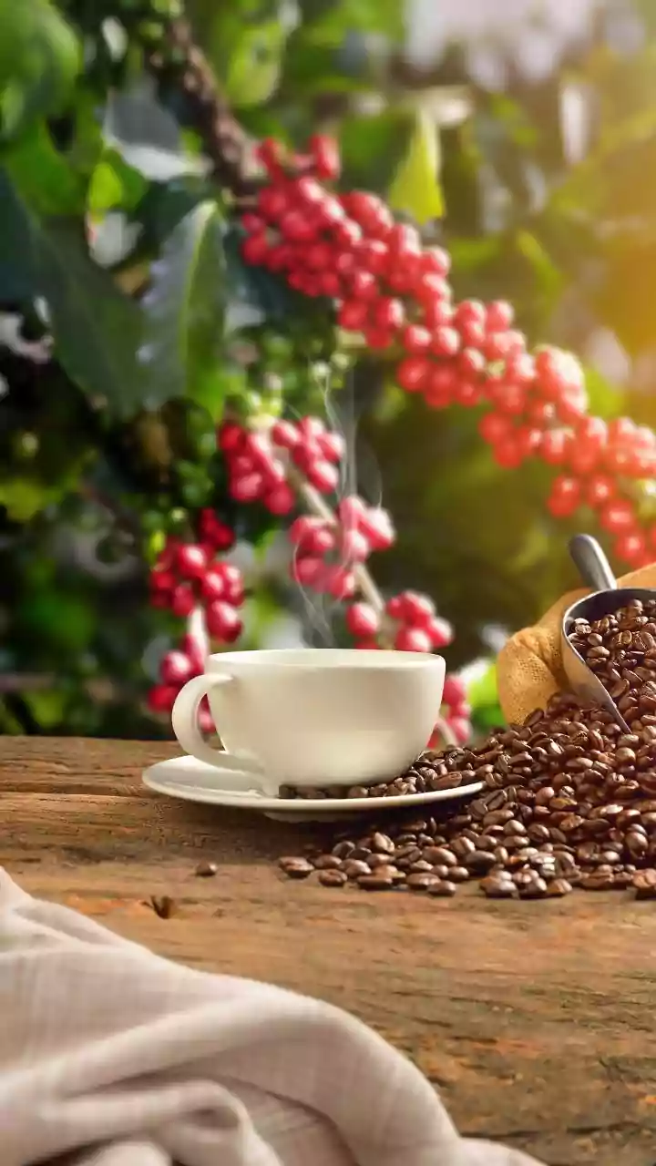 Your Daily Coffee: Unveiling Its Surprising Impact on Your Skin