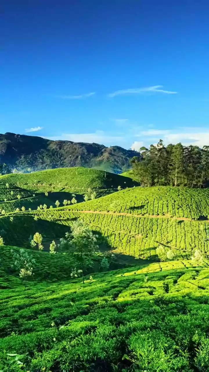 Why Responsible Tourism Matters to Kerala's Long-Term Visitor Economy