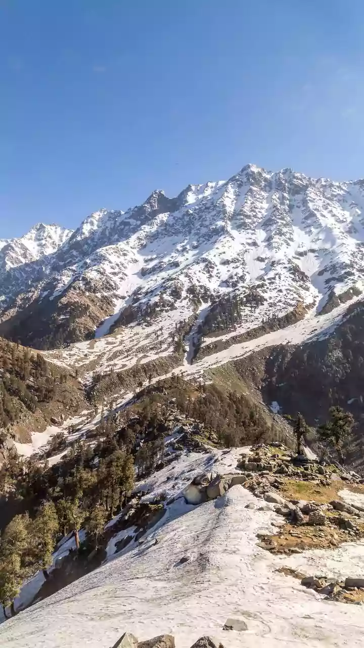 North India shivers as cold wave persists; IMD forecasts snowfall in Kashmir, Himachal, Uttarakhand