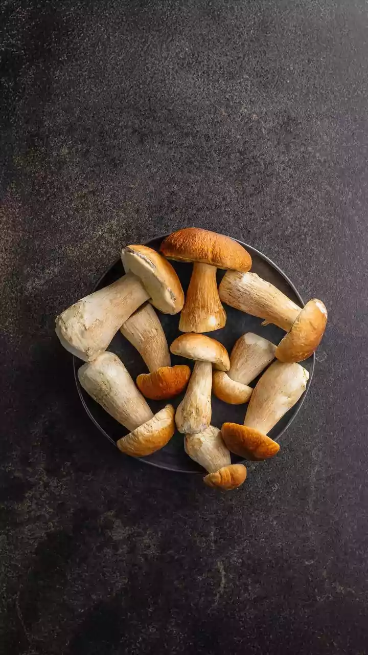 Seasonal Mushrooms Are The Rainy Food Flex