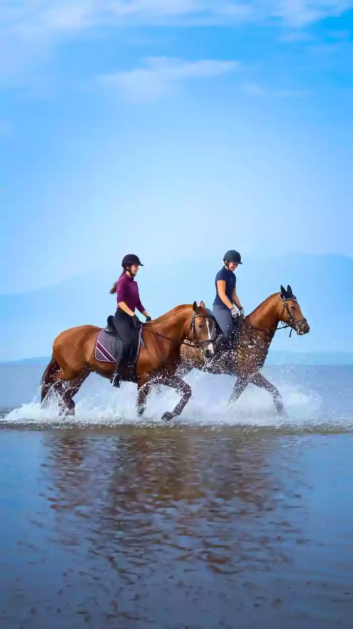 Why Portugal's Roman Remains Feature In Horseback Heritage Trips